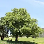 Schmiedlehnerhof Birnberg