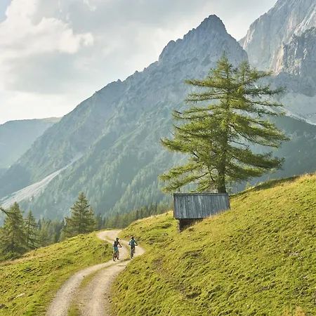 Schmiedlehnerhof Farm stay