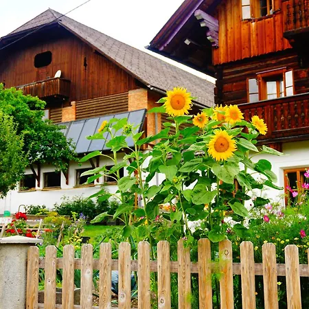 Schmiedlehnerhof Birnberg