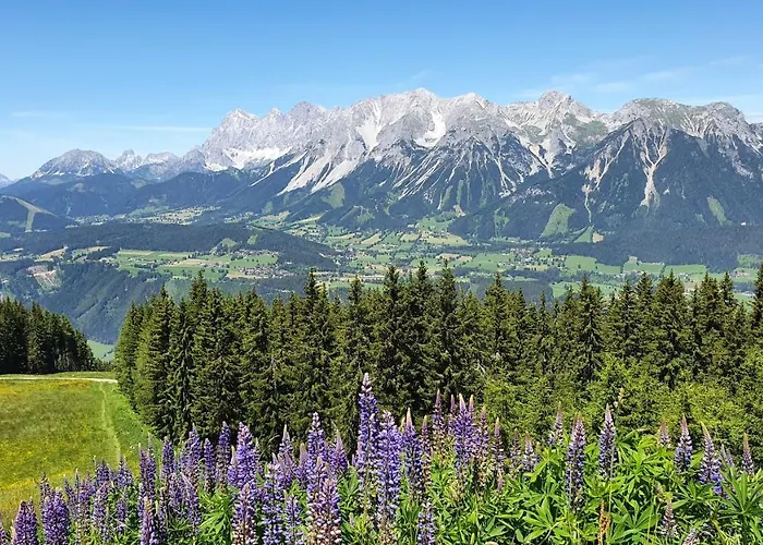 Vakantieboerderij Schmiedlehnerhof