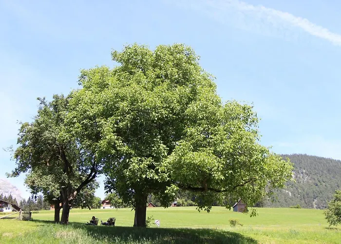 Schmiedlehnerhof Birnberg